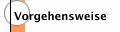 Vorgehensweise